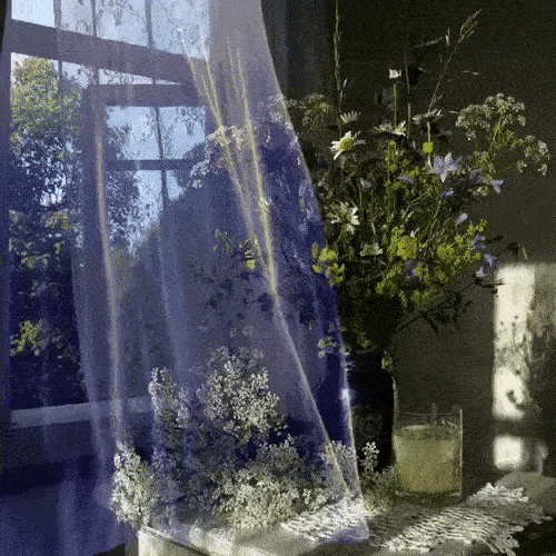 Living the Life I Manifested: Calm Sundays and Spirit Signs
